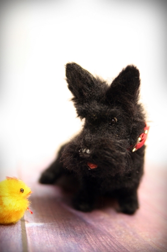 �r�уt�F���g�@�X�R�e�B�b�V���e���A