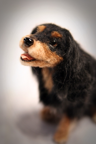 �r�уt�F���g�@�L���o���A