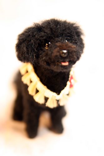 �r�уt�F���g