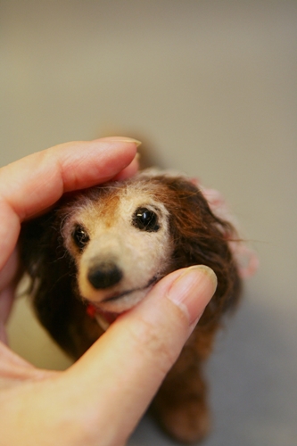 �r�уt�F���g