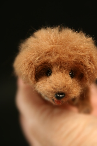 �r�уt�F���g