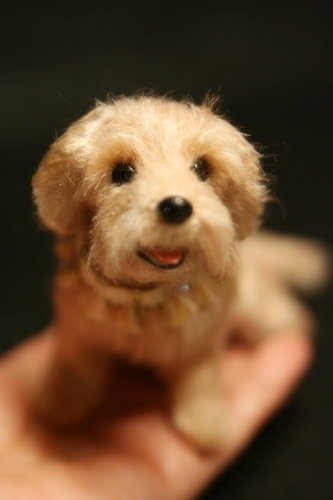 �r�уt�F���g�@��