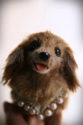 �r�уt�F���g�@�_�b�N�X