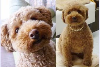 �r�уt�F���g�@�{���ʐ^