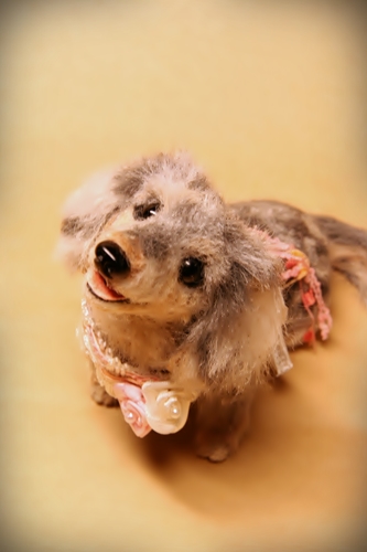 �r�уt�F���g